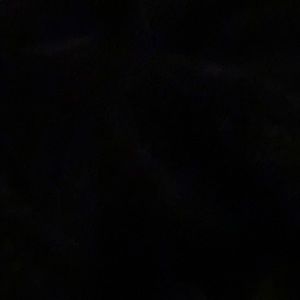 Meet your Posher, Samuel